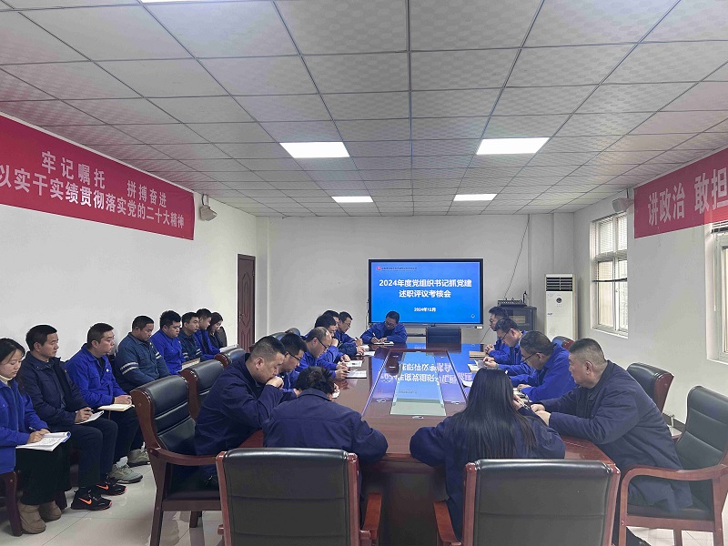 賽柯瑞思公司黨總支召開2024年度黨組織書記抓黨建述職評議考核會(huì)