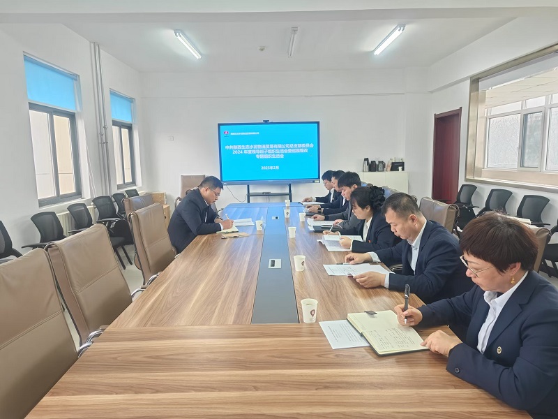 物貿(mào)公司召開2024年度領(lǐng)導(dǎo)班子組織生活會(huì)暨巡視整改專題組織生活會(huì)