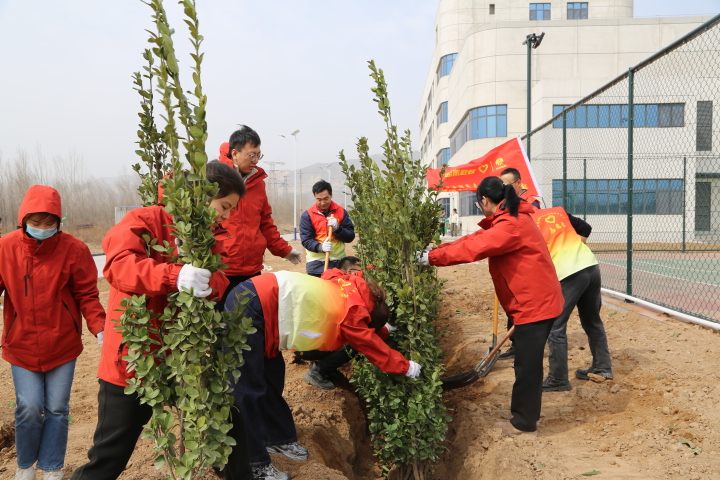 龍門(mén)綠碳公司:“植”此青綠 共筑綠韻山河