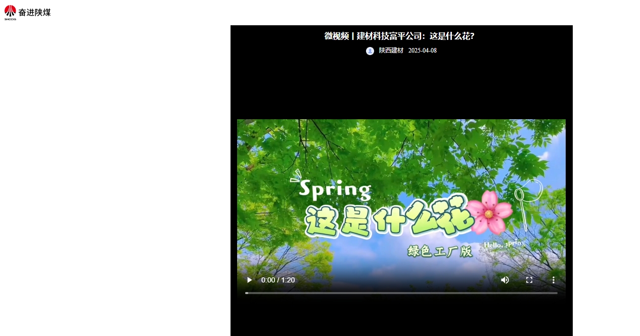 奮進陜煤、陜煤集團抖音 |建材科技富平公司:這是什么花?