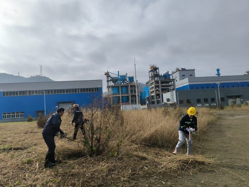 黃陵新材公司:黨建引領環境治理新篇章