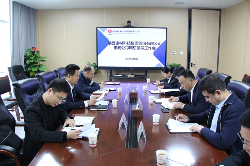 周紅到陜煤新材公司調研工作